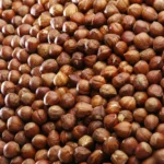 Hazelnut Filberts